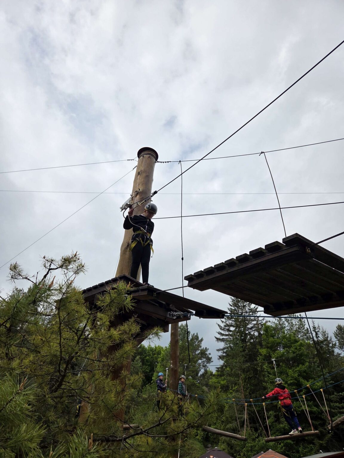 20250517_093108-2780