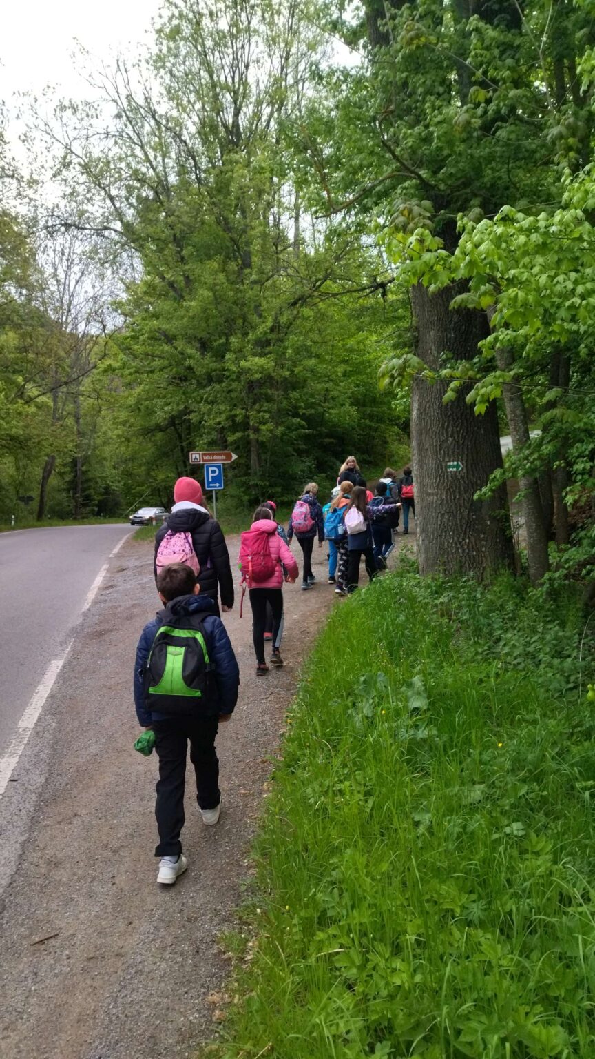 IMG_20250517_080648-2780