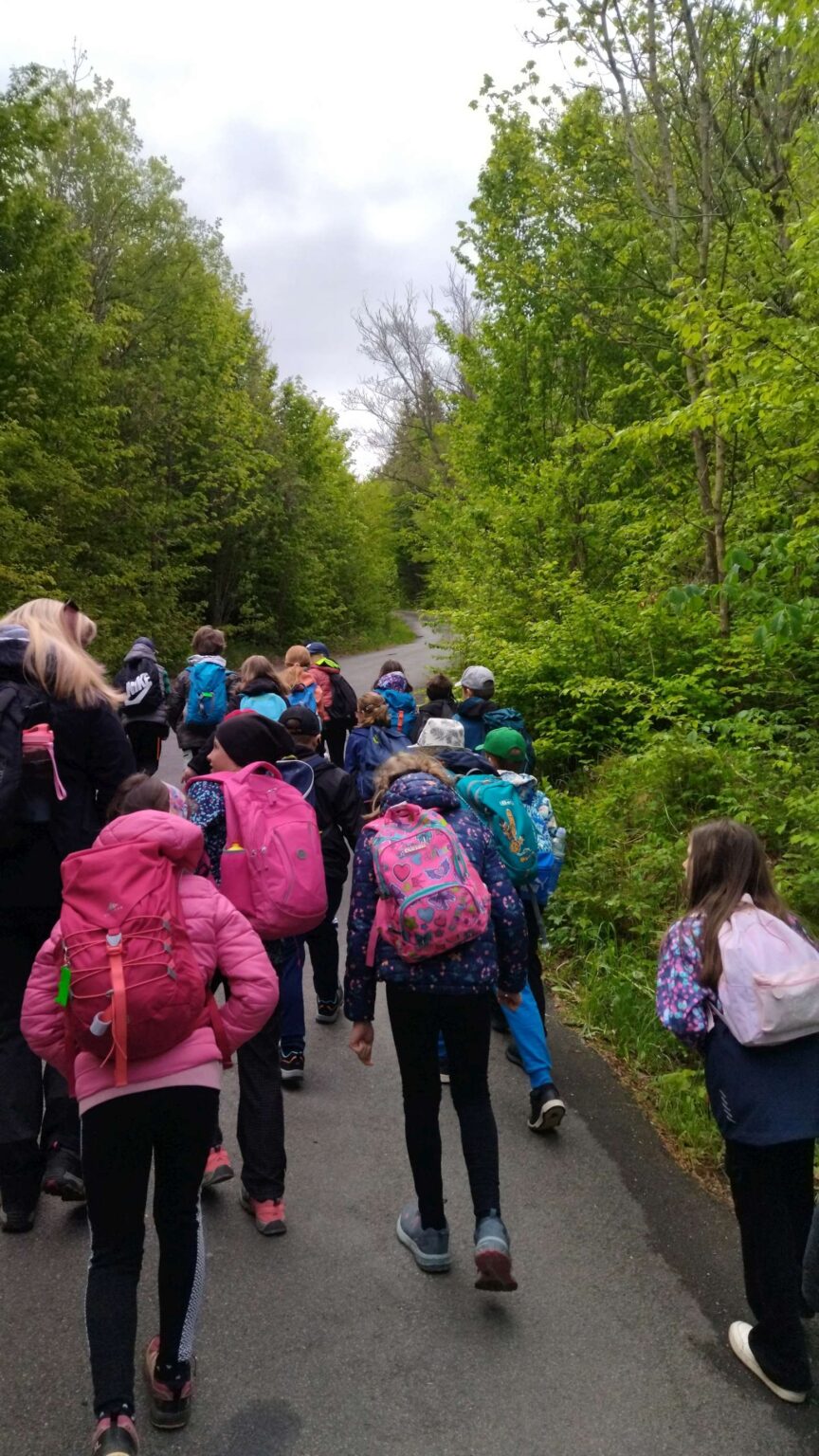 IMG_20250517_080738-2780