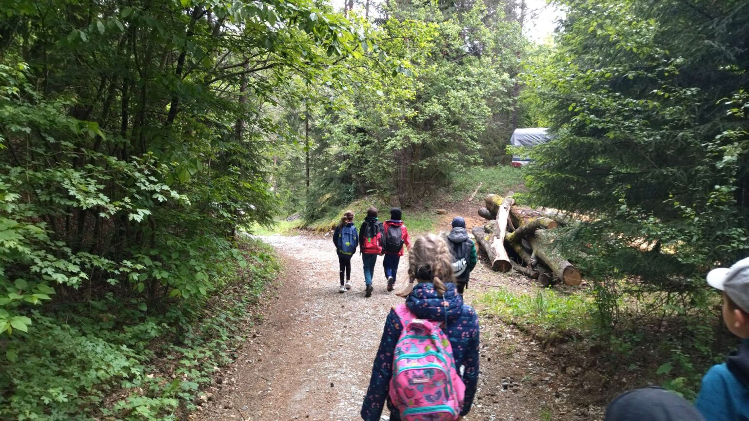 IMG_20250517_081612-2780