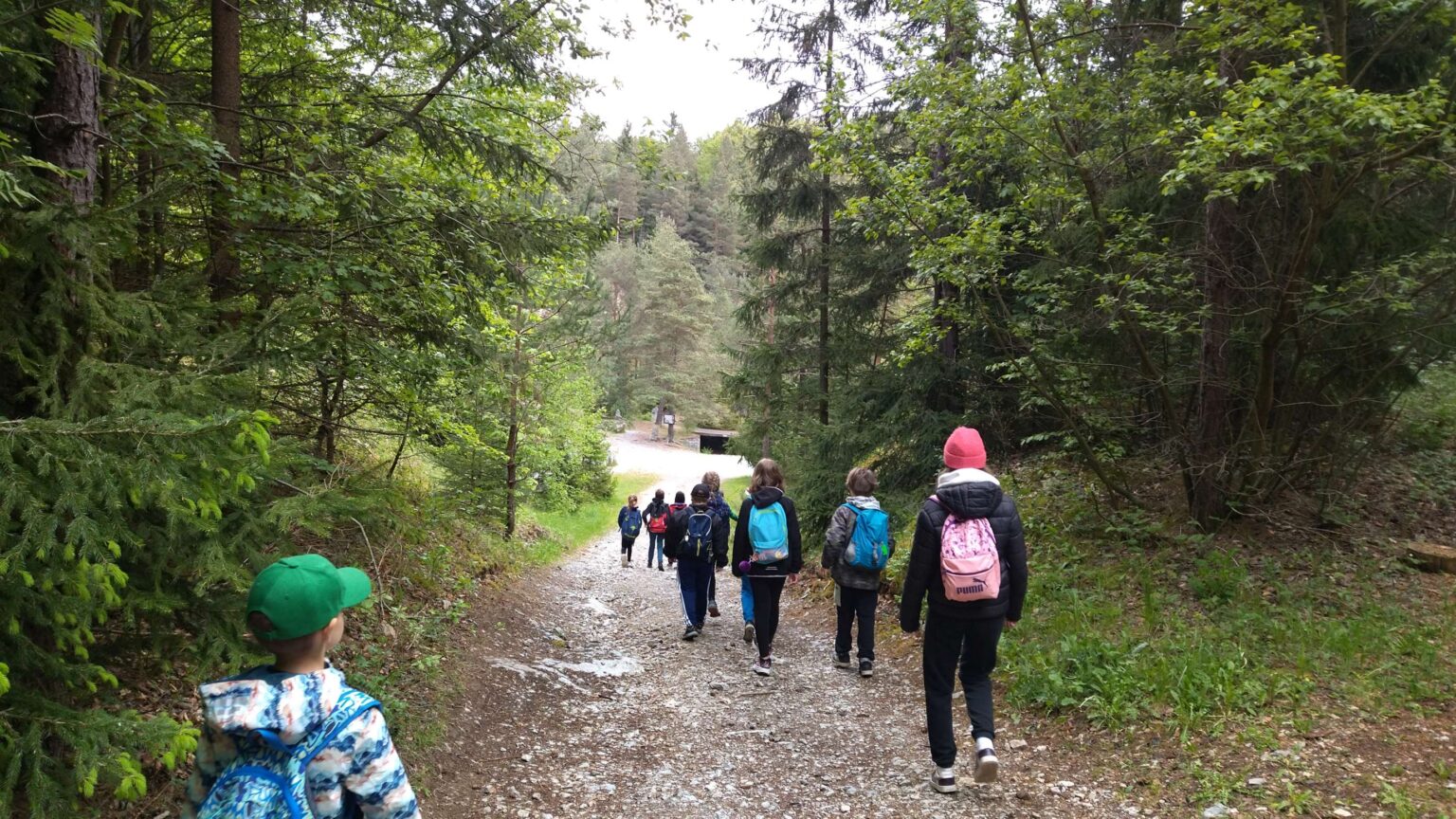 IMG_20250517_081632-2780