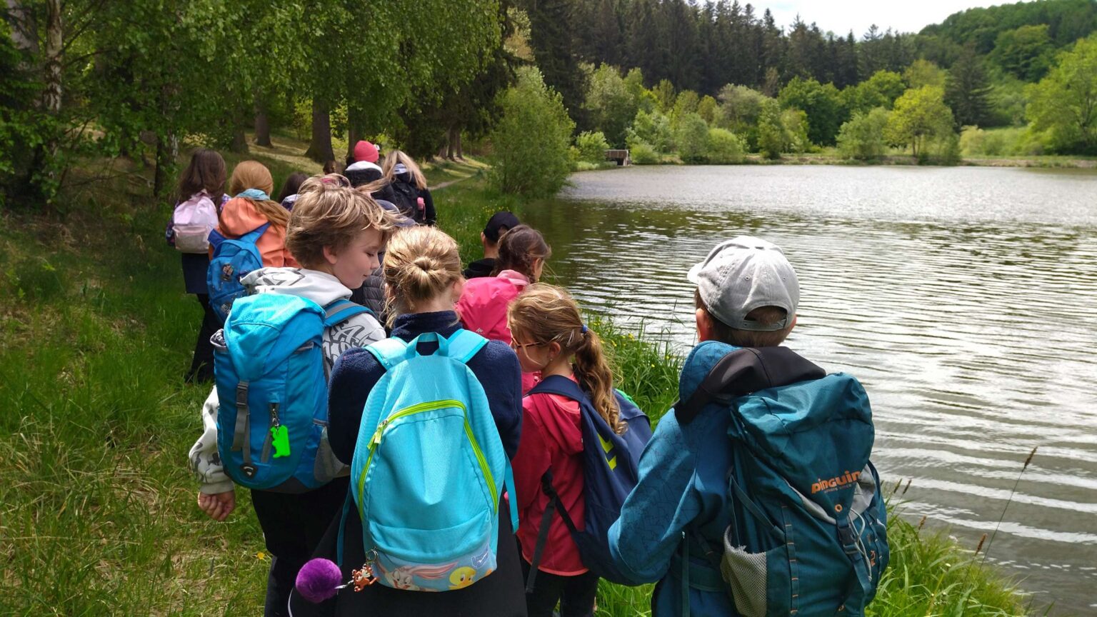 IMG_20250517_120536-2780