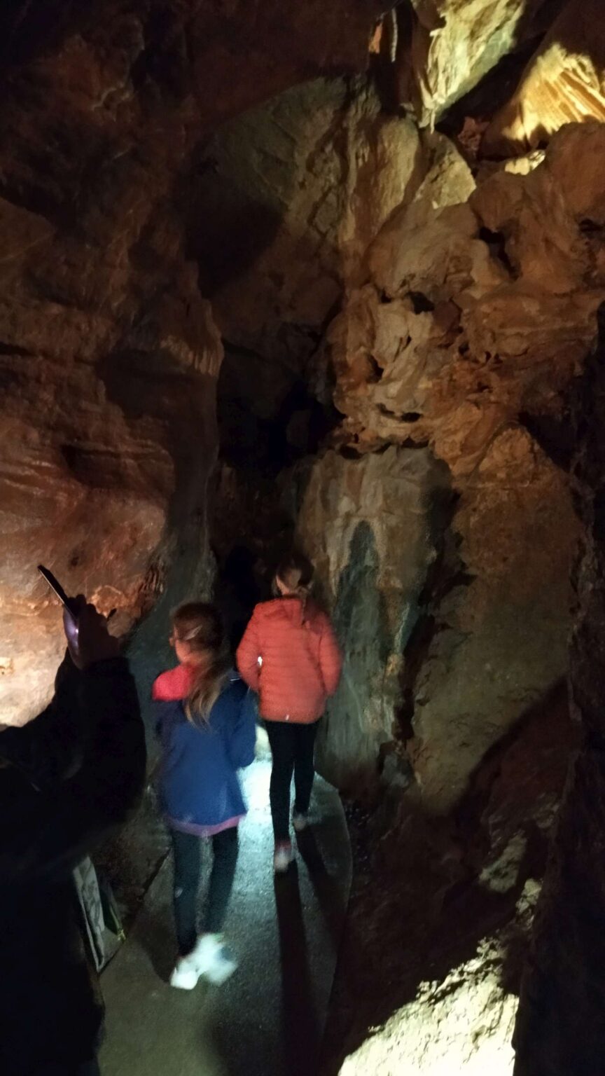 IMG_20250517_131042-2780