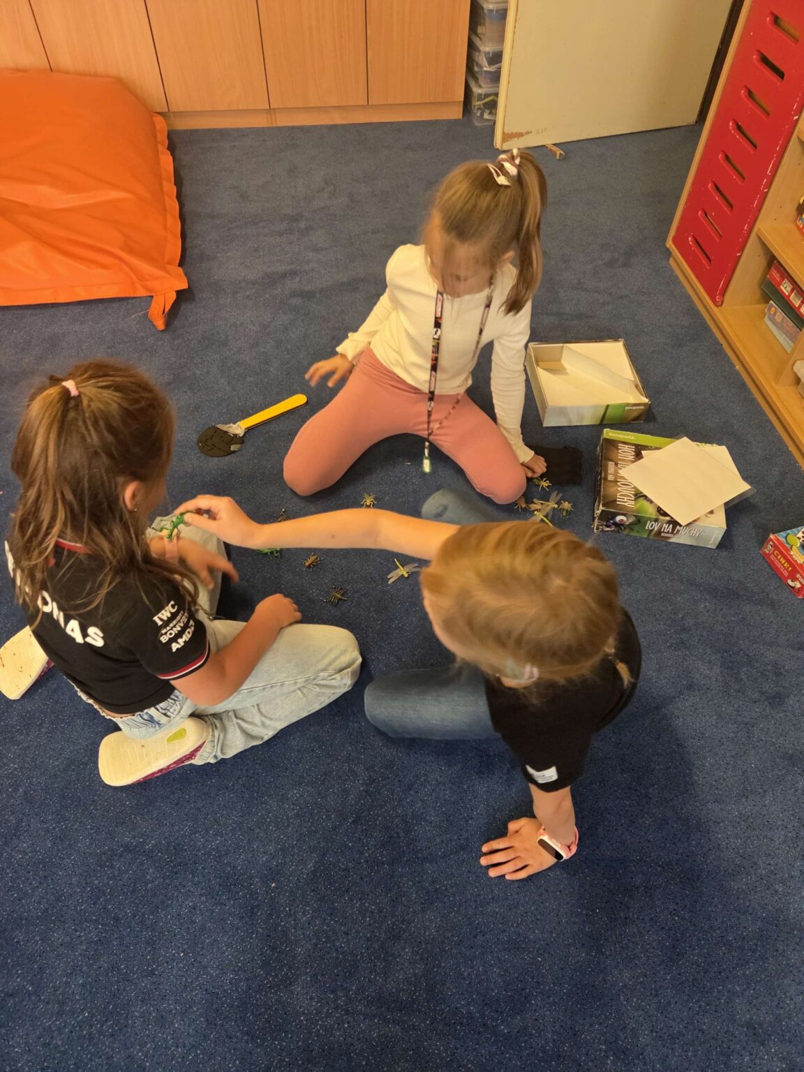 20251017_115413-2780