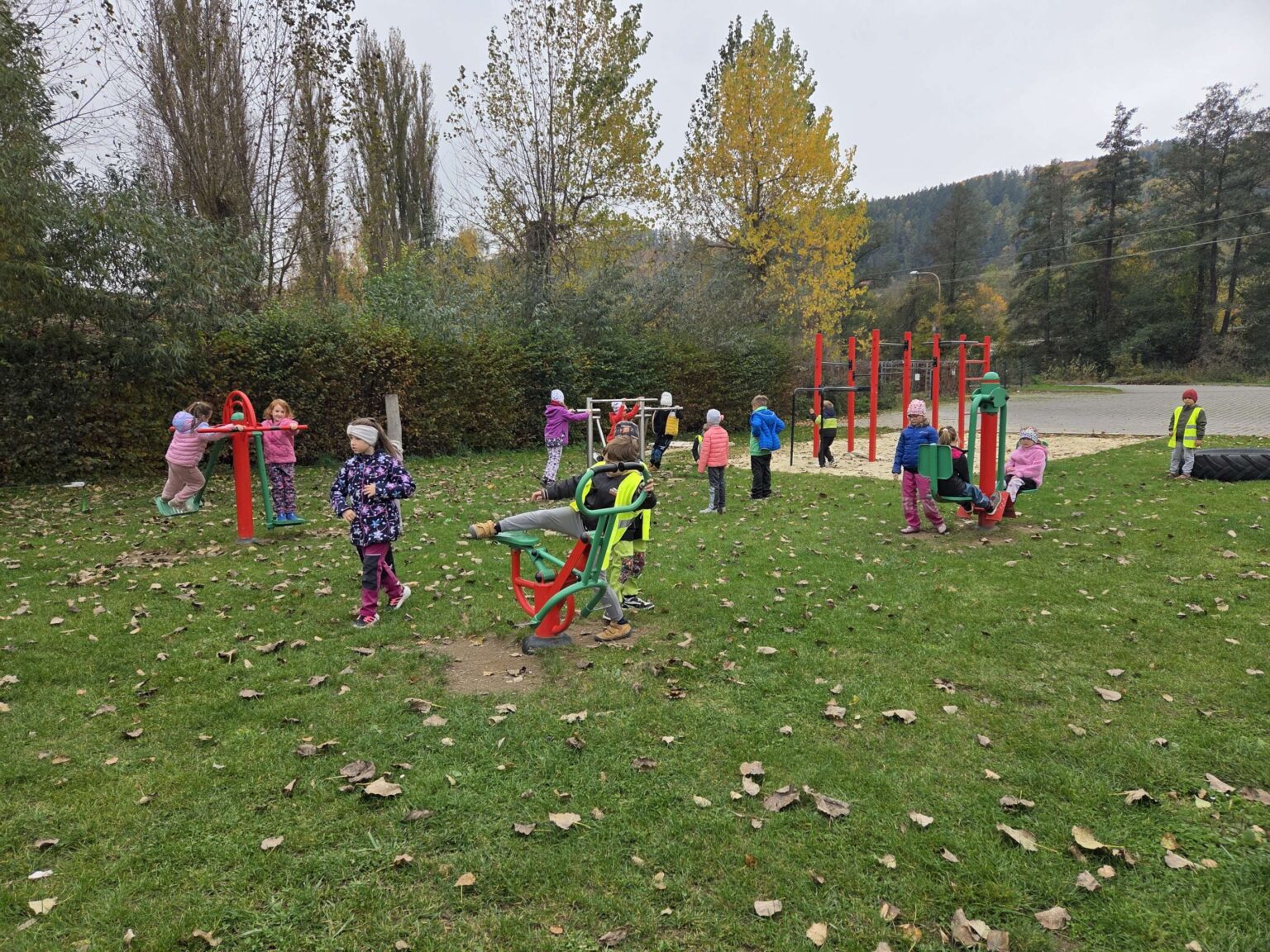 20251022_135653-2780