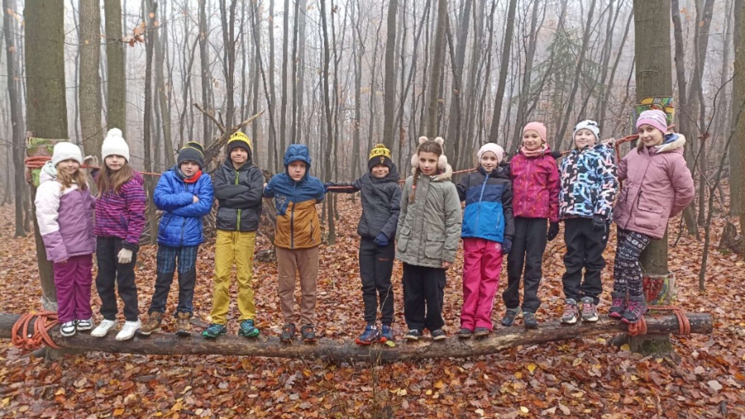 IMG_20251112_094722-2780