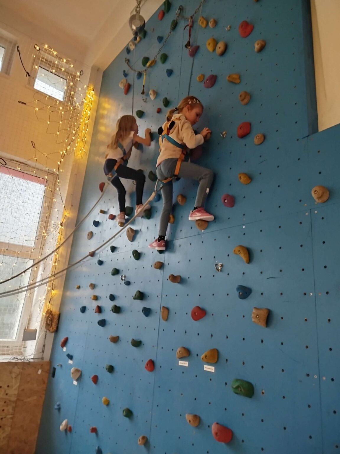 IMG_20251204_084014-2780